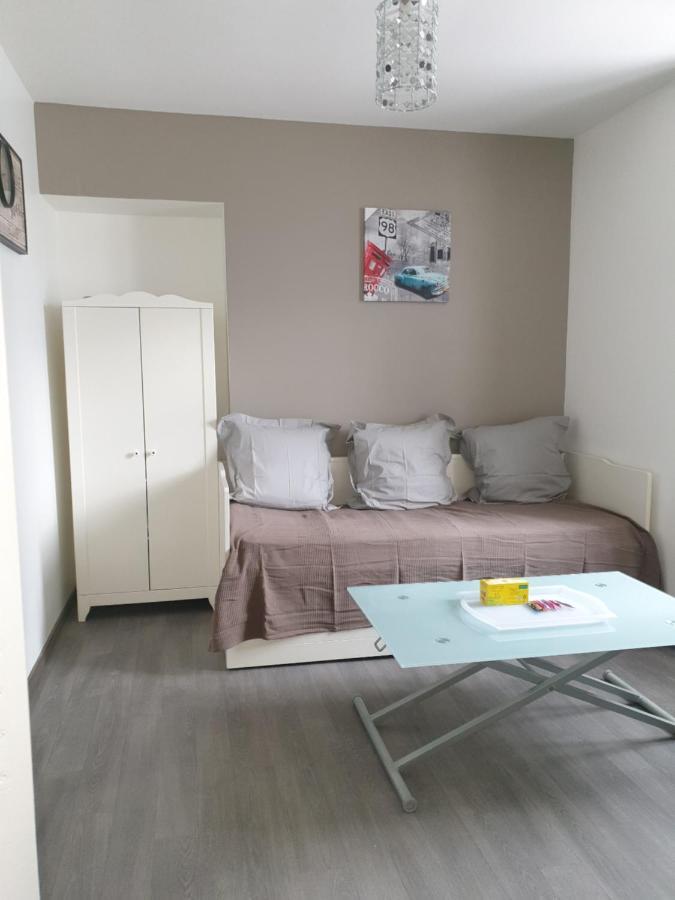 Studio Meuble Au Rdc , Proche Lac Aix-les-Bains Buitenkant foto